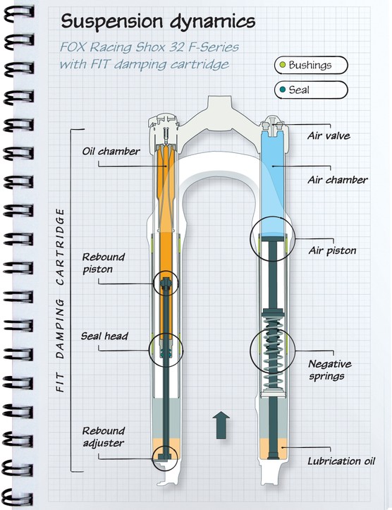 Most, but not all, forks have dedicated legs (left or right) housing the damping and compression cartridges