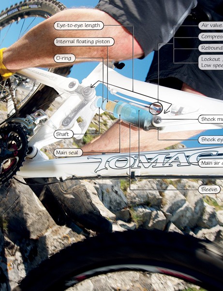 Shocks come in many different eye-to-eye lengths and options, but their basic anatomy remains the same